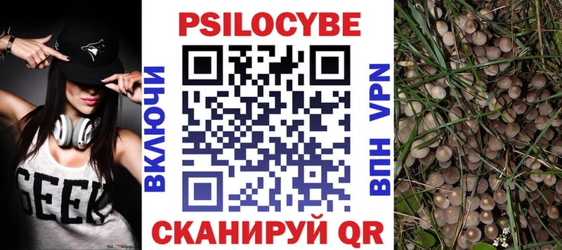 где найти   kraken зеркало  Галлюциногенные грибы Cubensis  Полярные Зори 