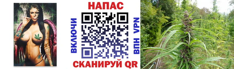 площадка официальный сайт Полярные Зори Шишки марихуана гибрид MEGA онион